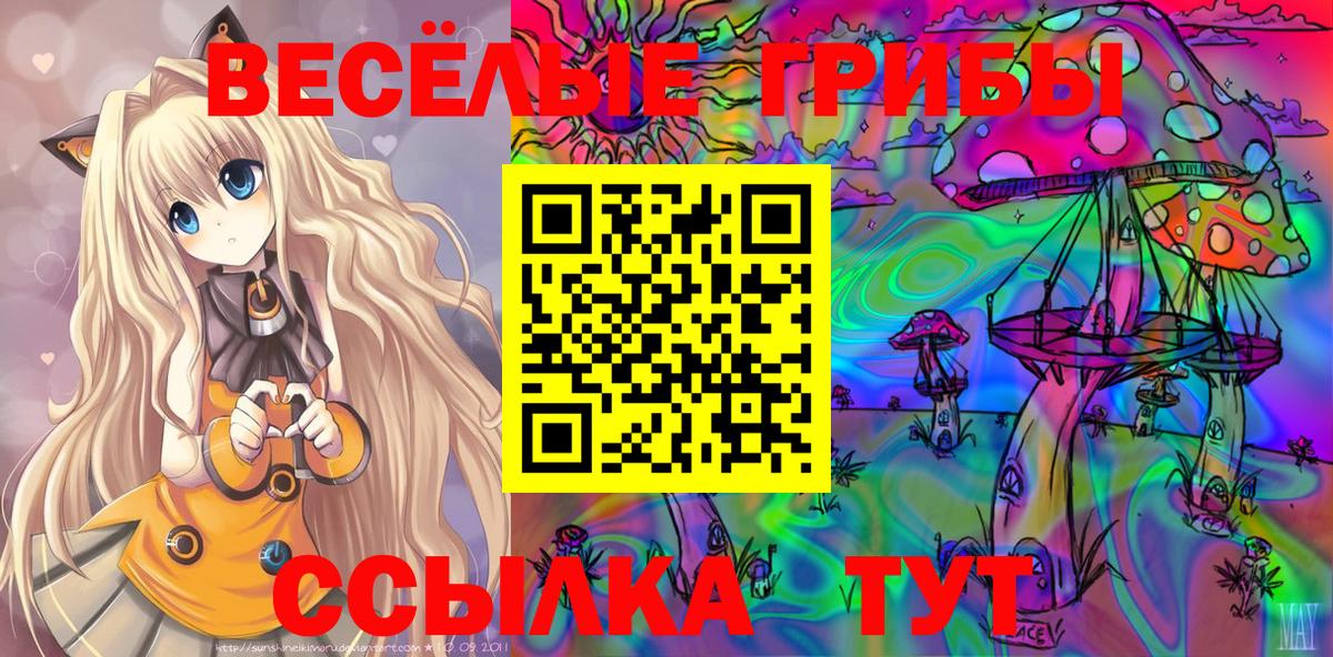 Галлюциногенные грибы мицелий  Вход с VPN  Галлюциногенные грибы мухоморы  Сокол 